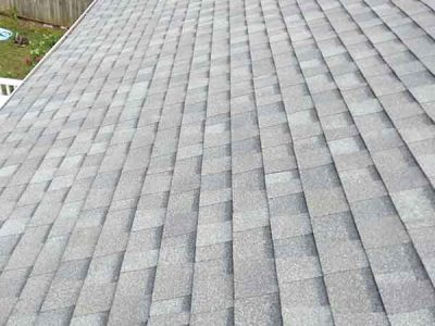 Shingle Roofing Services